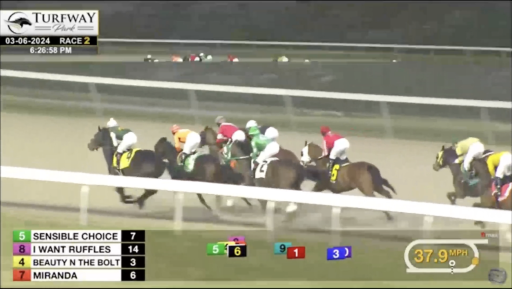 For Love and Honor runs at Turfway on March 6, 2024